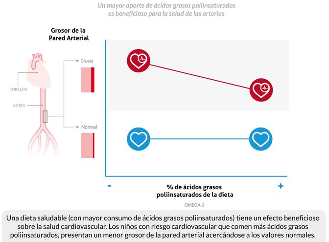 corazon-in-vitro